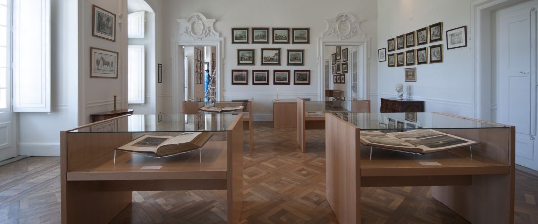 Vitrines em madeira na Biblioteca de Arte Equestre do Palácio de Queluz